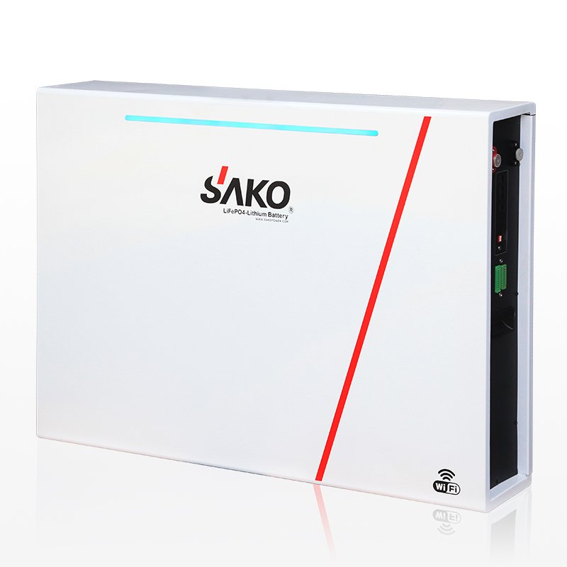 SAKO Competitive Wall stand Lithium Battery Pack With 51.2V200Ah